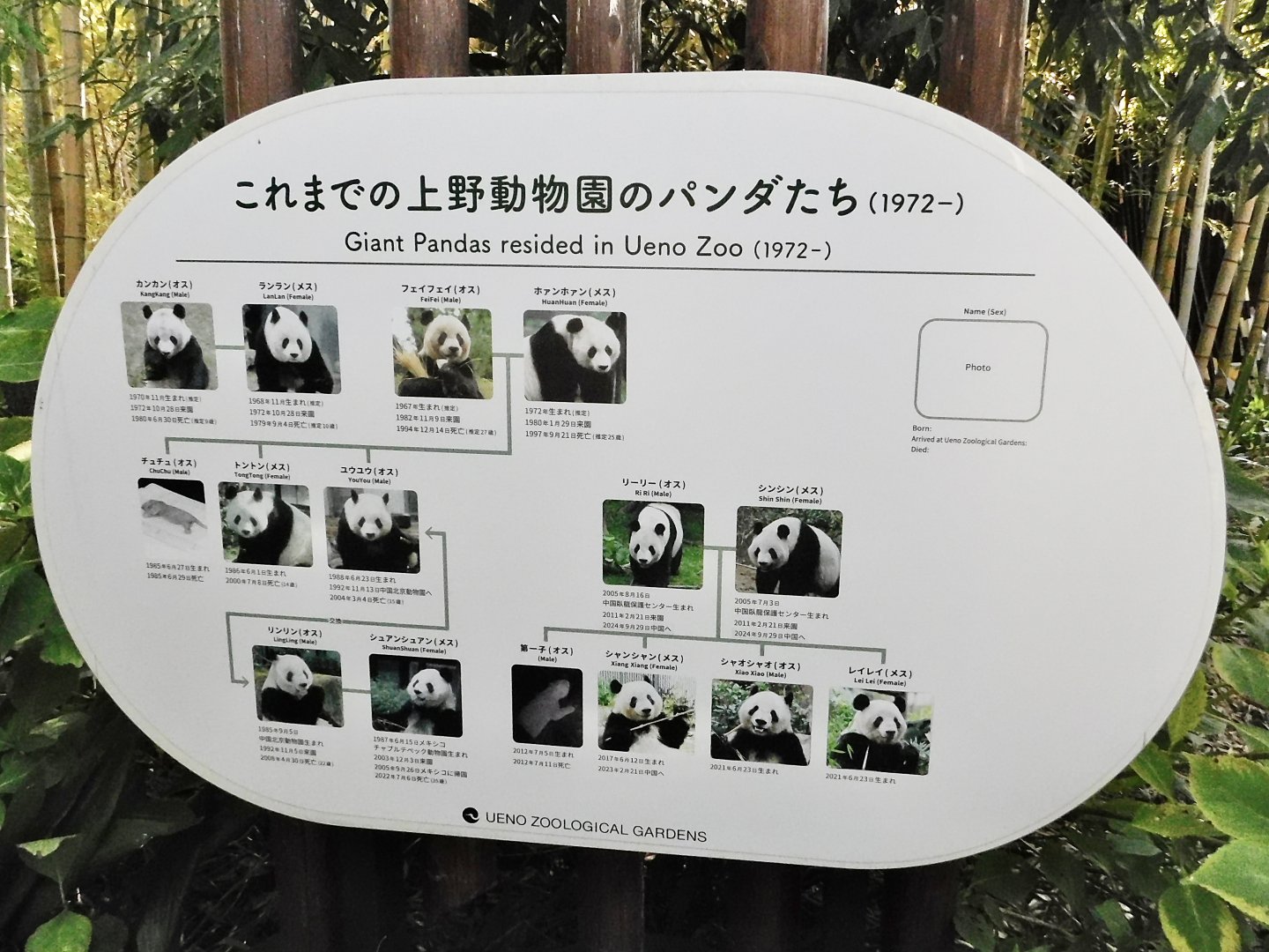 Giant Pandas resided on Ueno Zoo October 18, 2025
