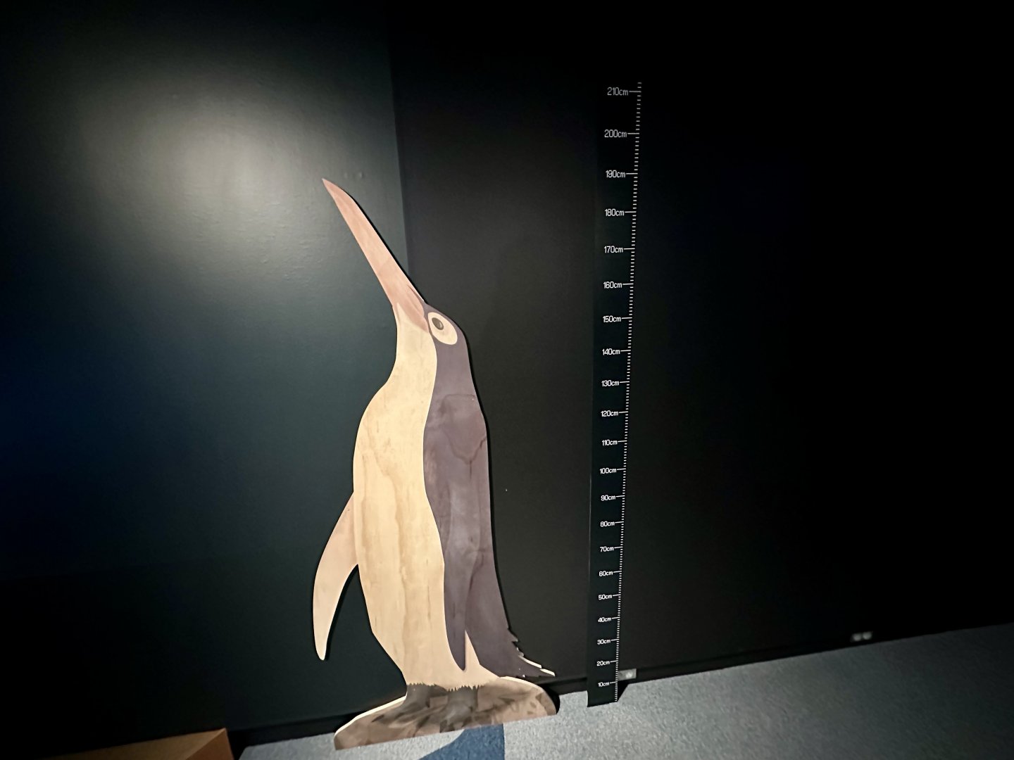 Giant Penguin (Height Chart)