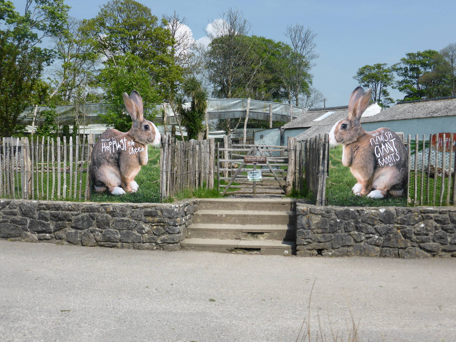 Giant rabbit walk-through