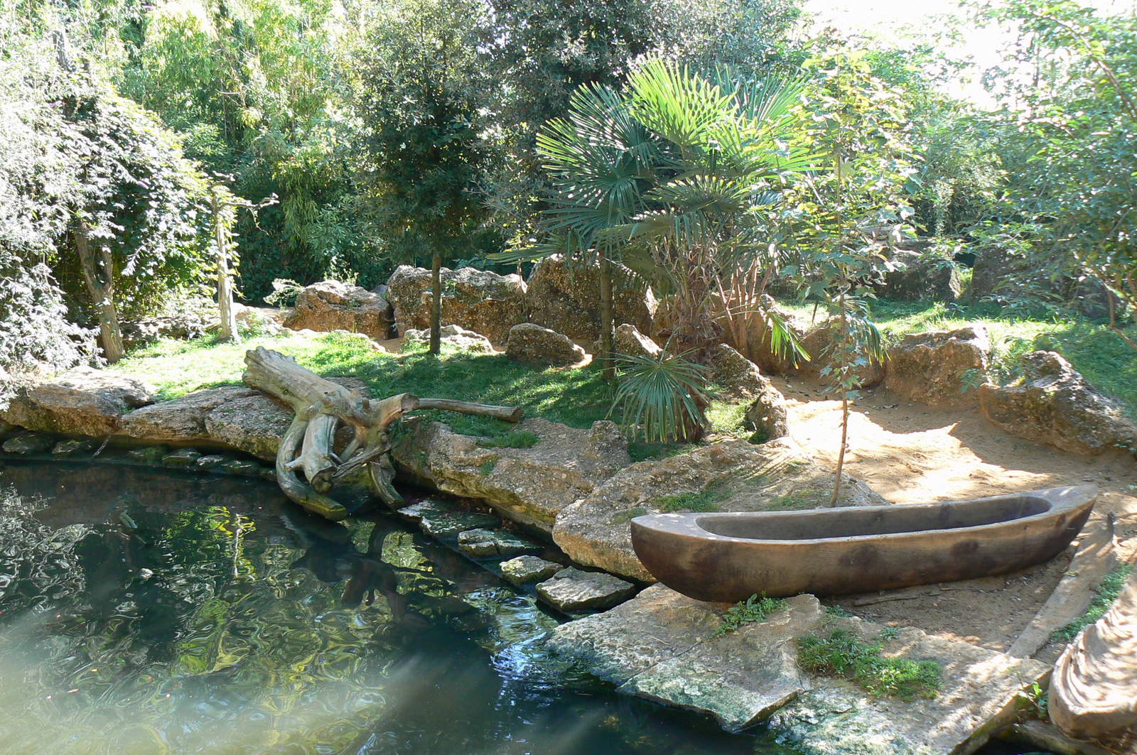 Giant river  otter exhibit