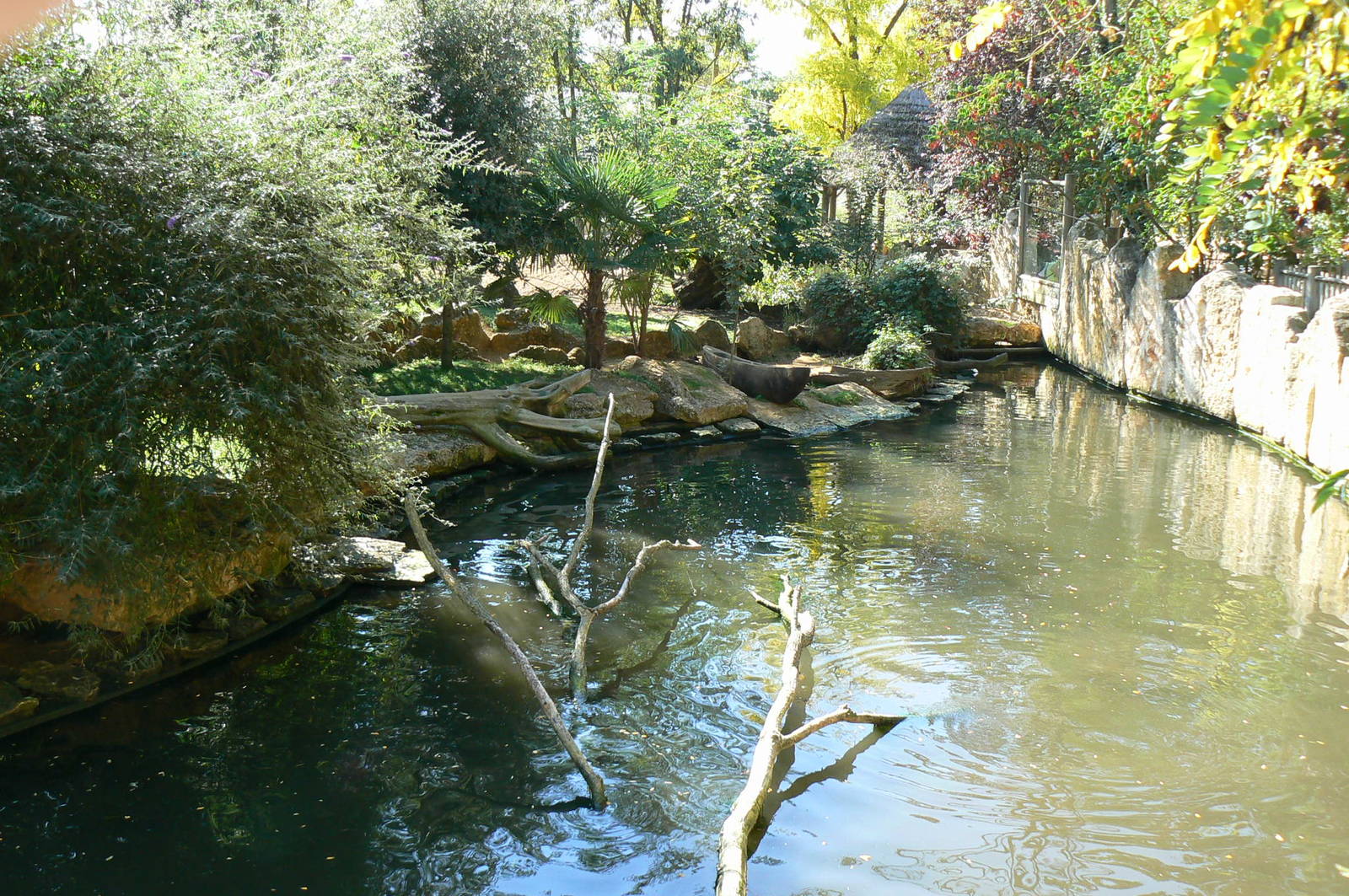 Giant river  otter exhibit