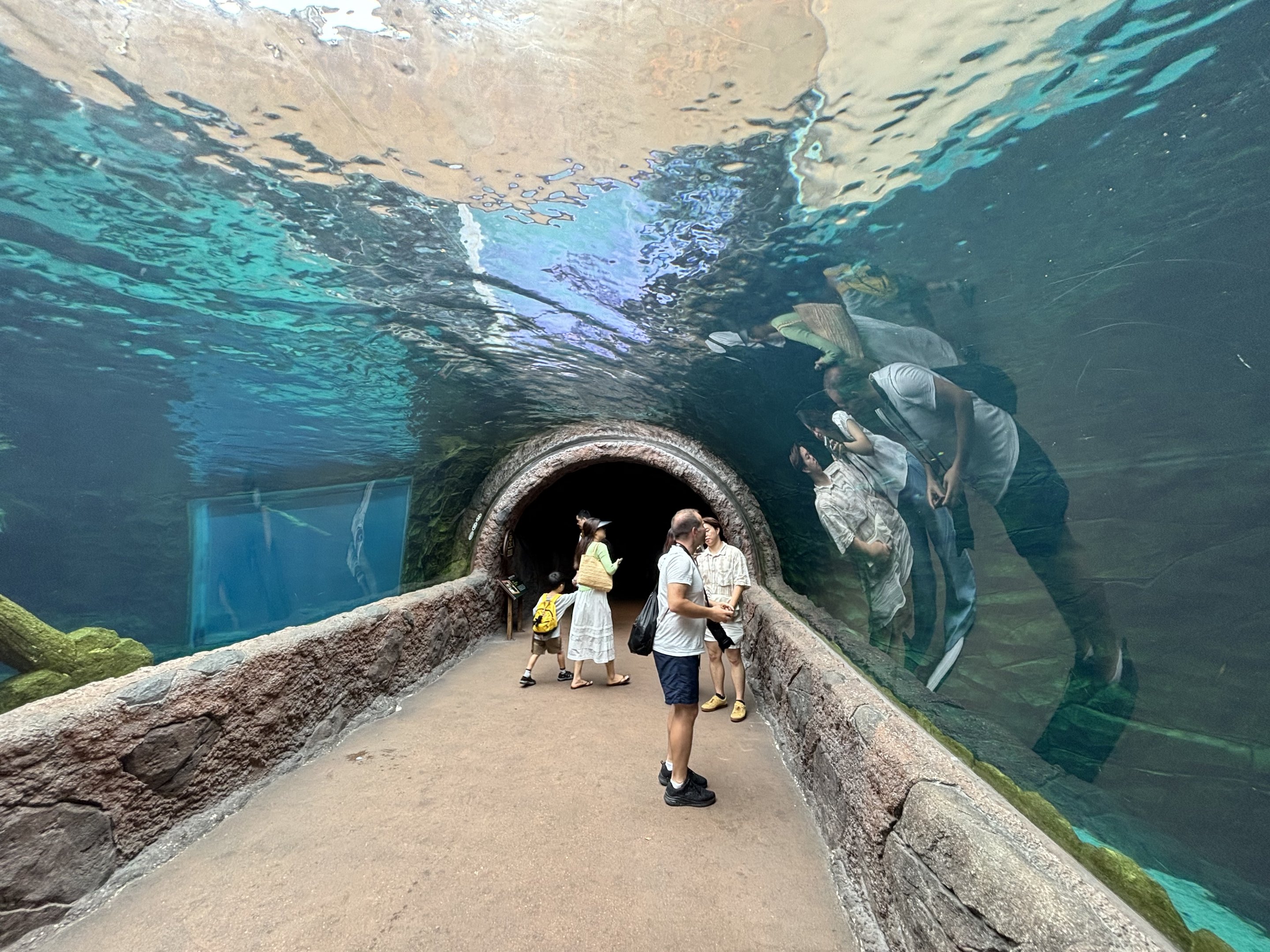 Giant River Otter Tunnel