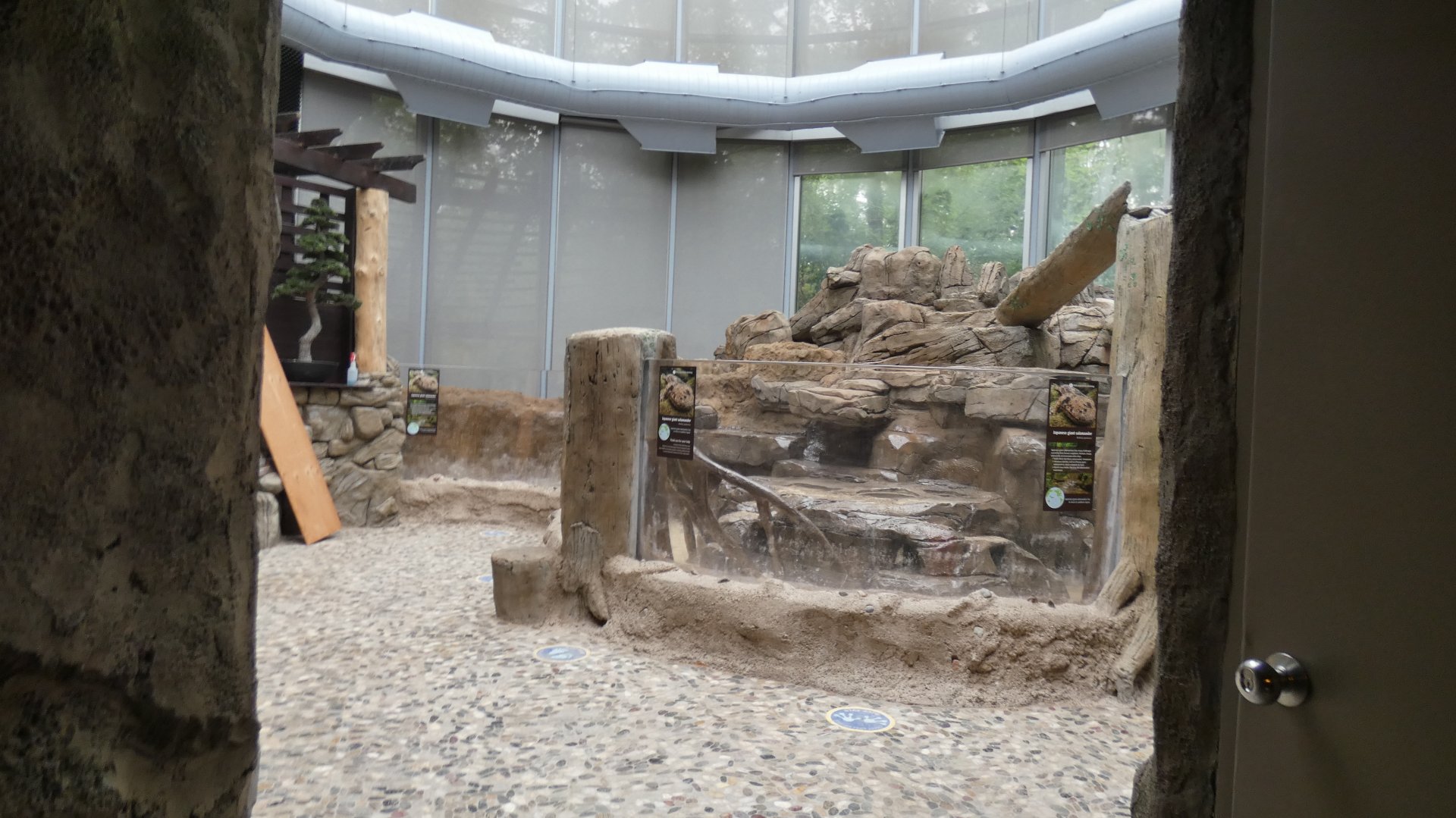 Giant Salamander Exhibit (Under Renovations), National Amphibian Conservation Center - July 2022