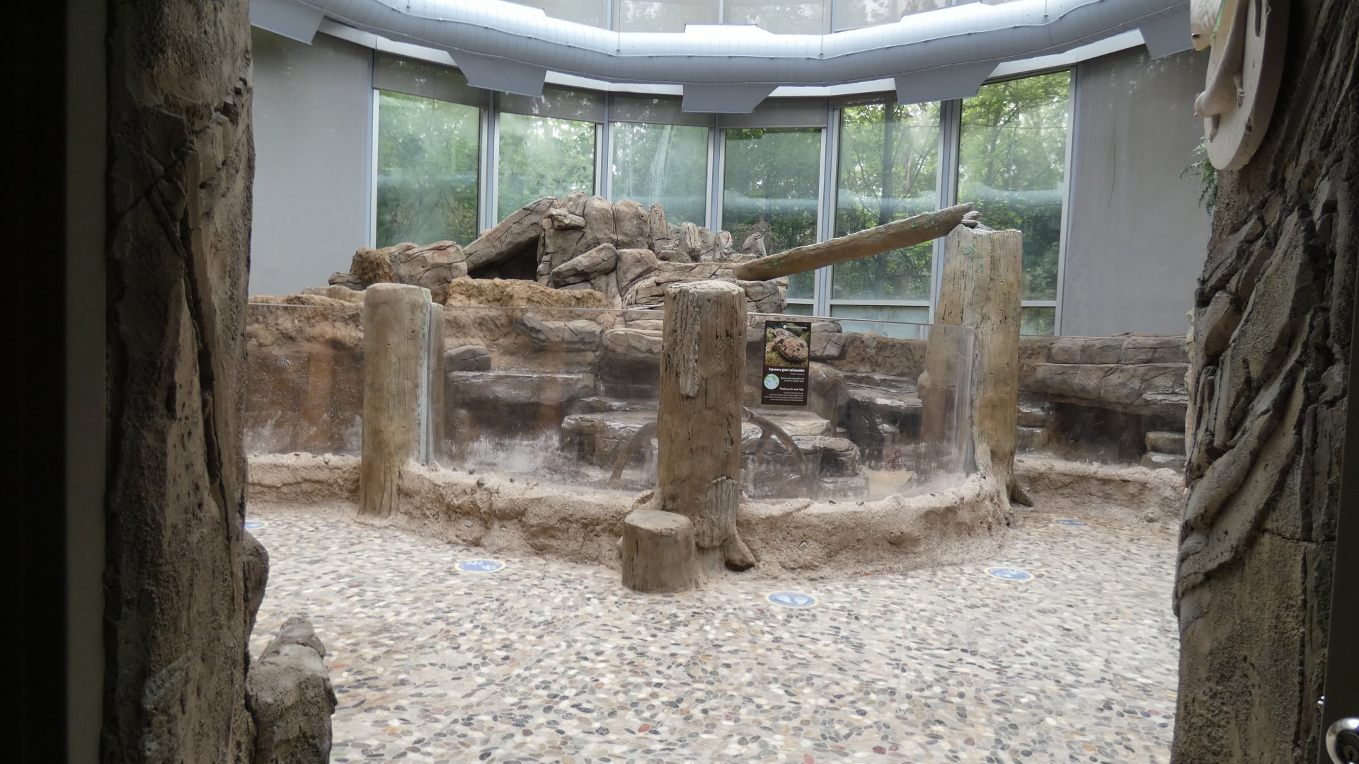 Giant Salamander Exhibit (Under Renovations), National Amphibian Conservation Center - July 2022