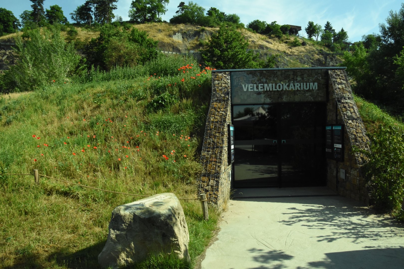 Giant salamander house
