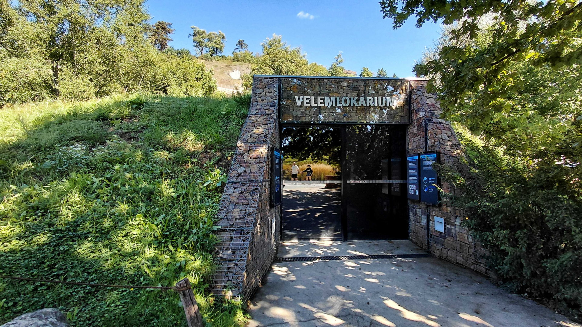 Giant salamander house