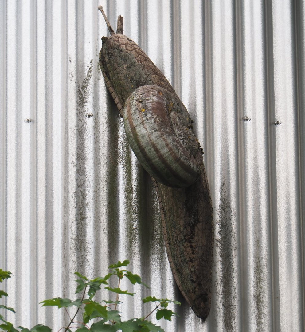 Giant snail model on the staircase tower of the tree top walk, 2020-07-14