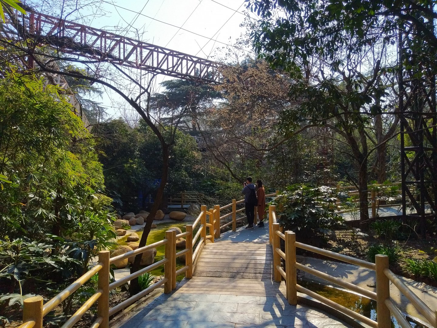 Giant "Songbird" Walkthrough Aviary