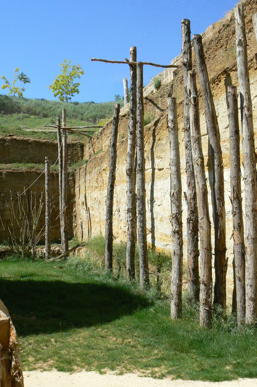 Giant south american aviary - general view