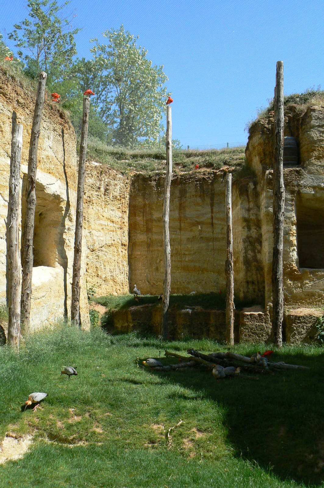 Giant south american aviary - general view