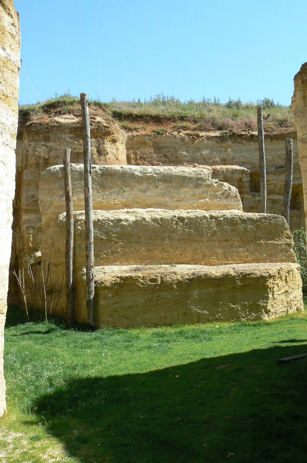 Giant south american aviary - general view