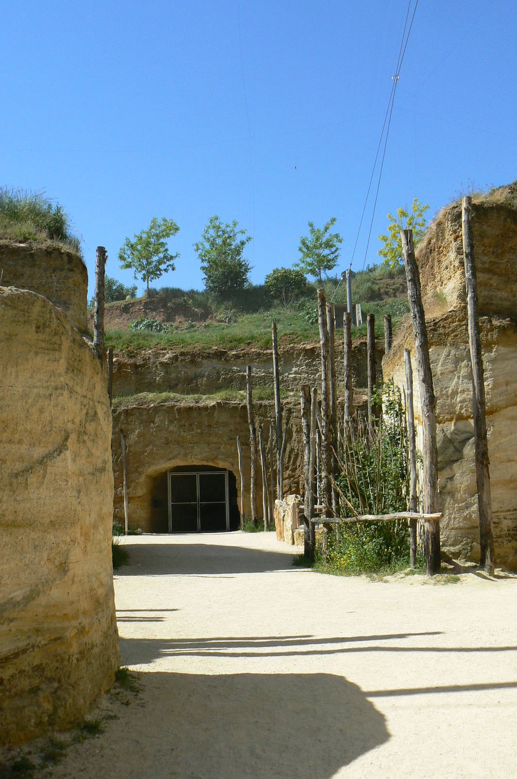 Giant south american aviary - general view