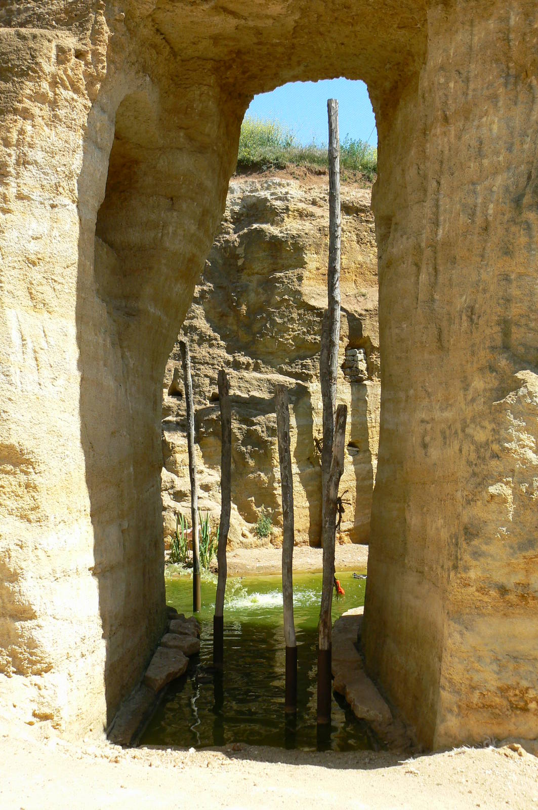 Giant south american aviary - general view