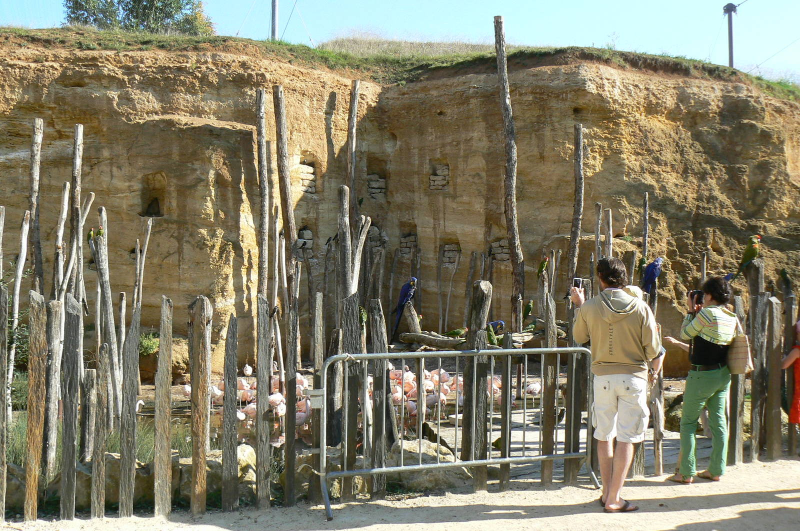 Giant south american aviary -In front of the chilean flamingos' pond