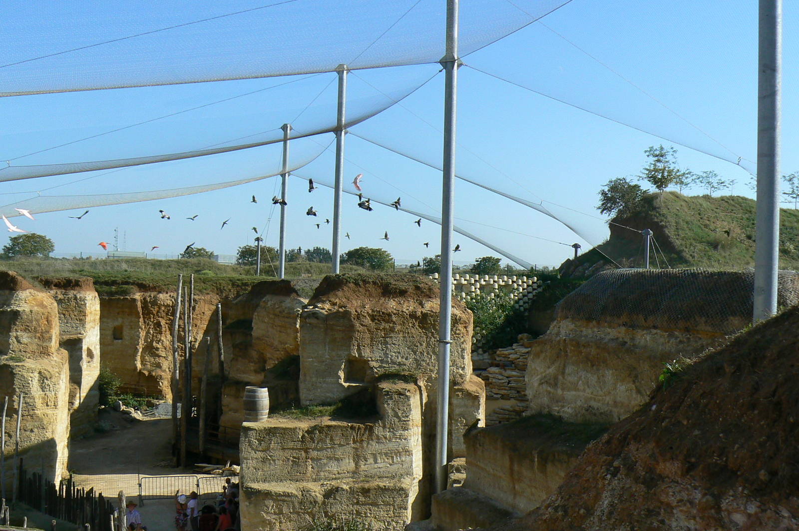 Giant south american aviary - Various birds flying