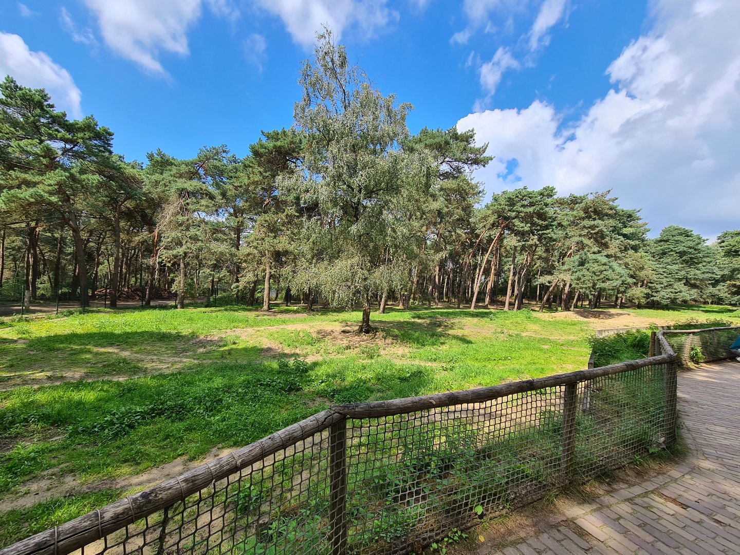 Giant Spotted hyena enclosure