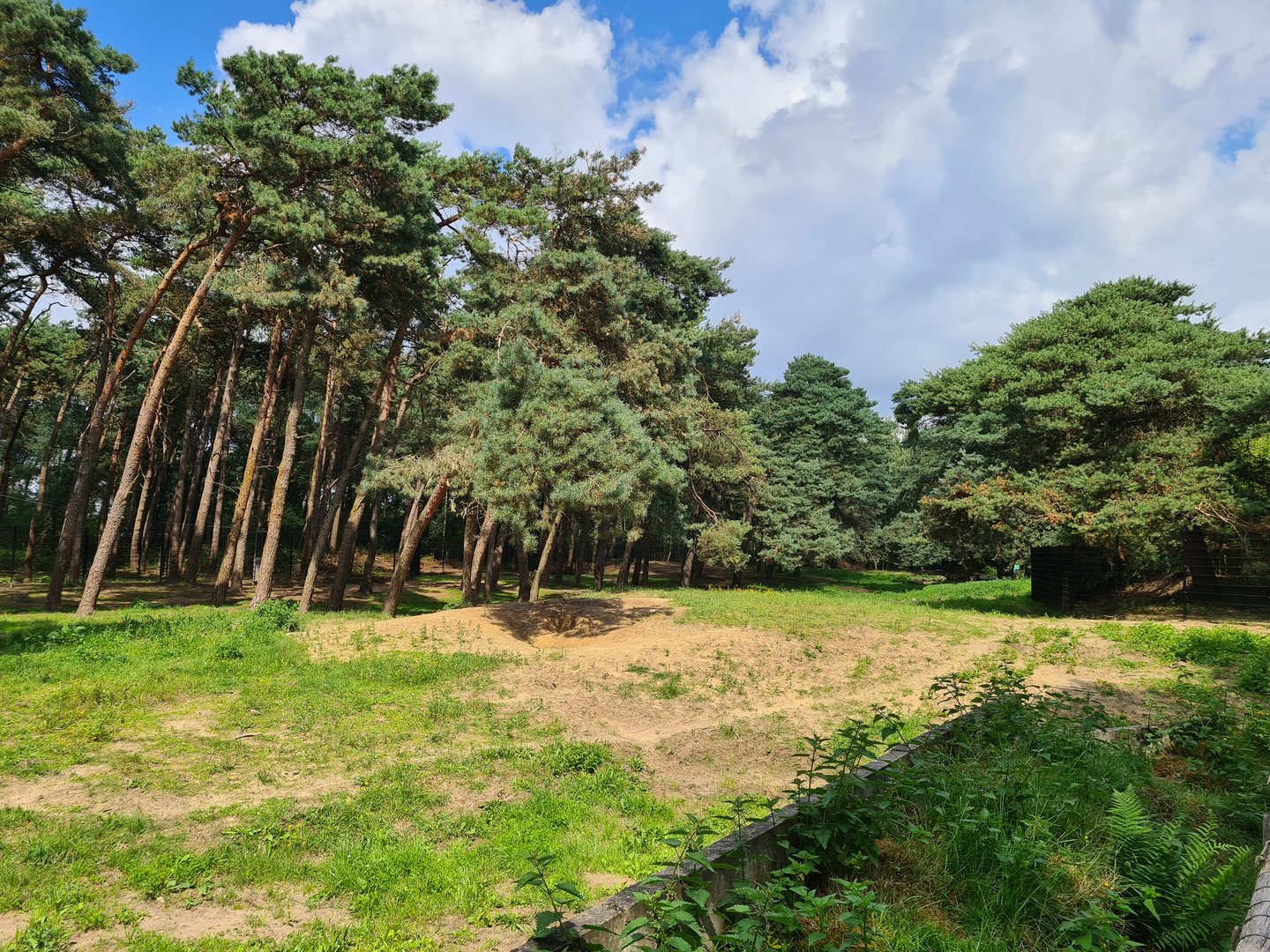 Giant Spotted hyena enclosure