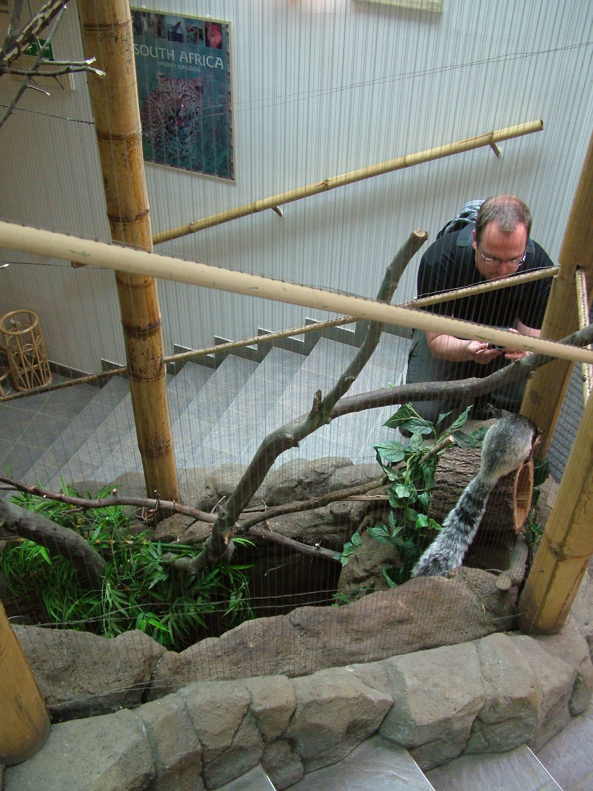 Giant Squirrel exhibit at Brno, 27/05/10