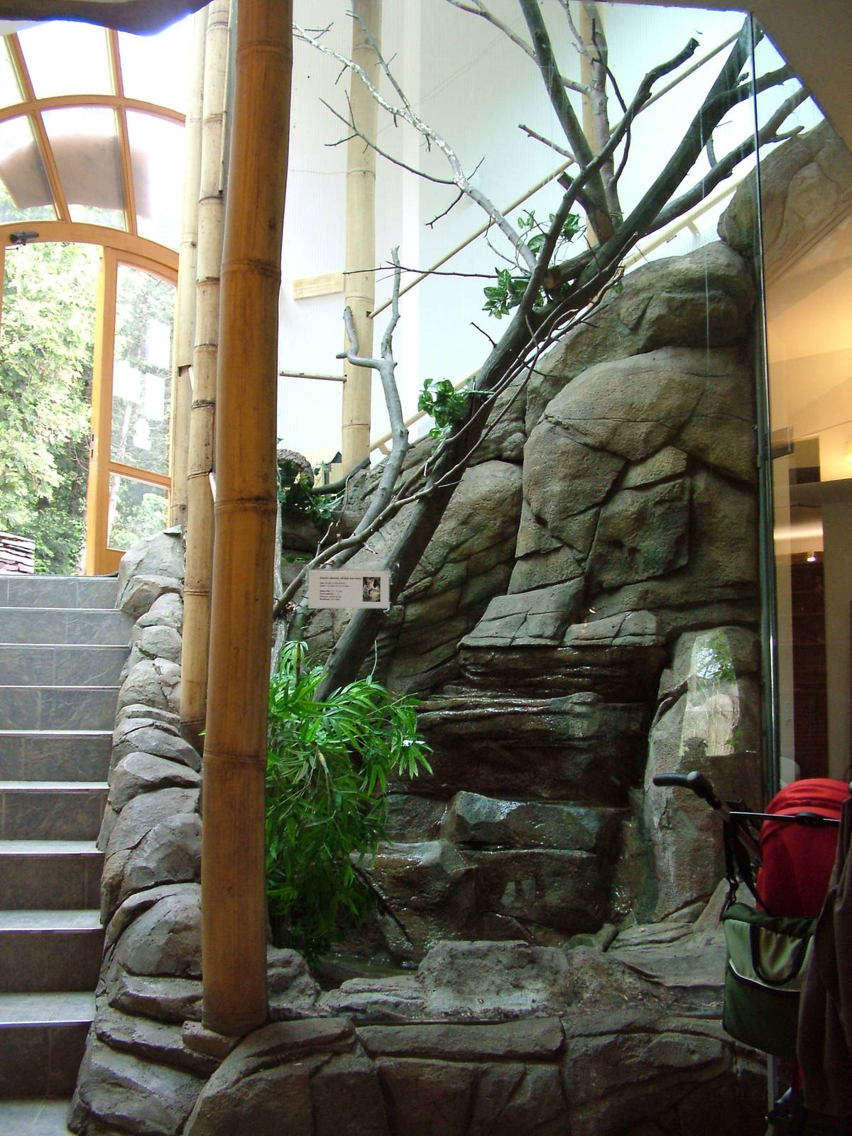 Giant Squirrel exhibit at Brno, 27/05/10