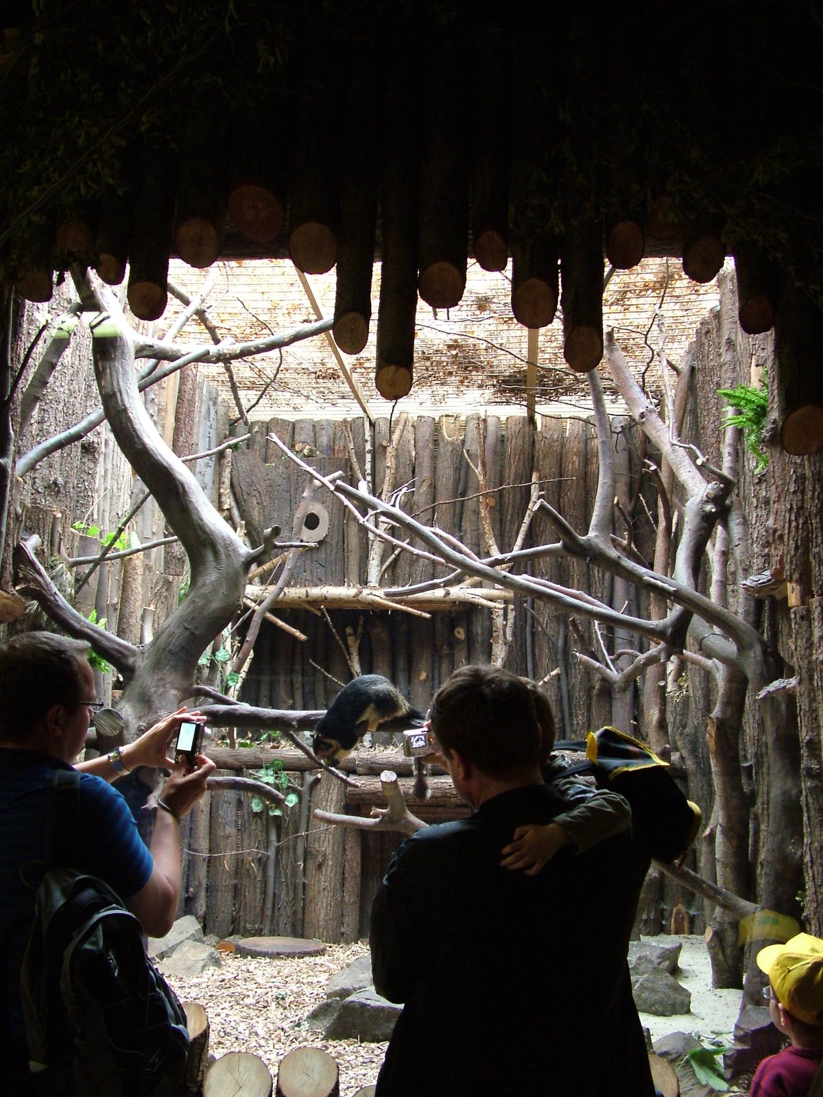 Giant Squirrel exhibit at Ostrava, 29/05/10
