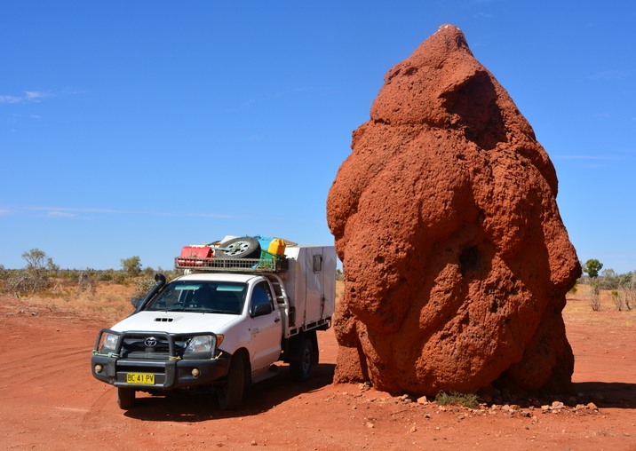 Giant termite mound. NT