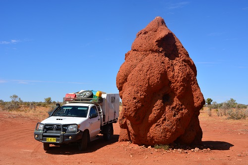Giant termite mound.  NT.