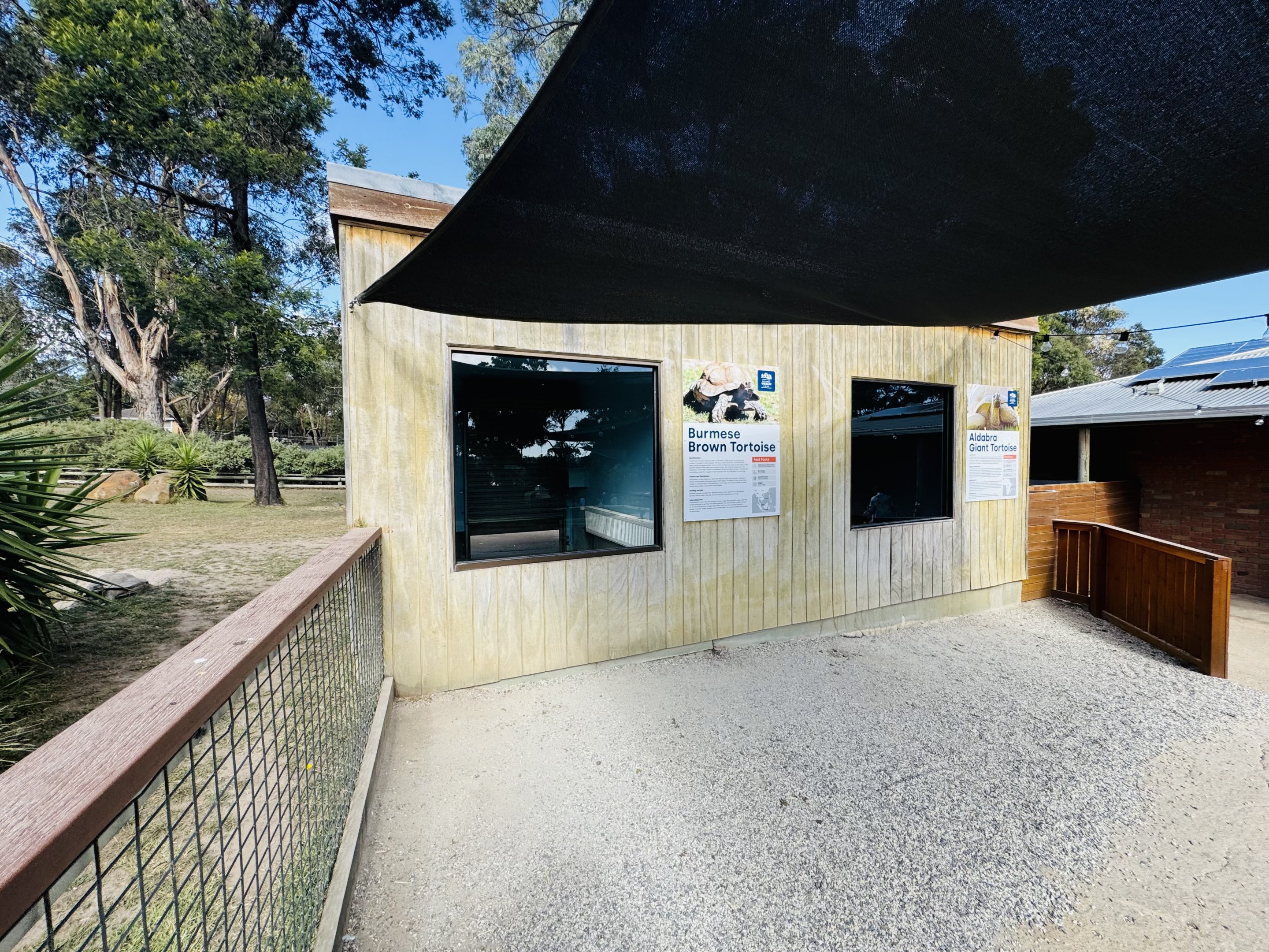 Giant tortoise building