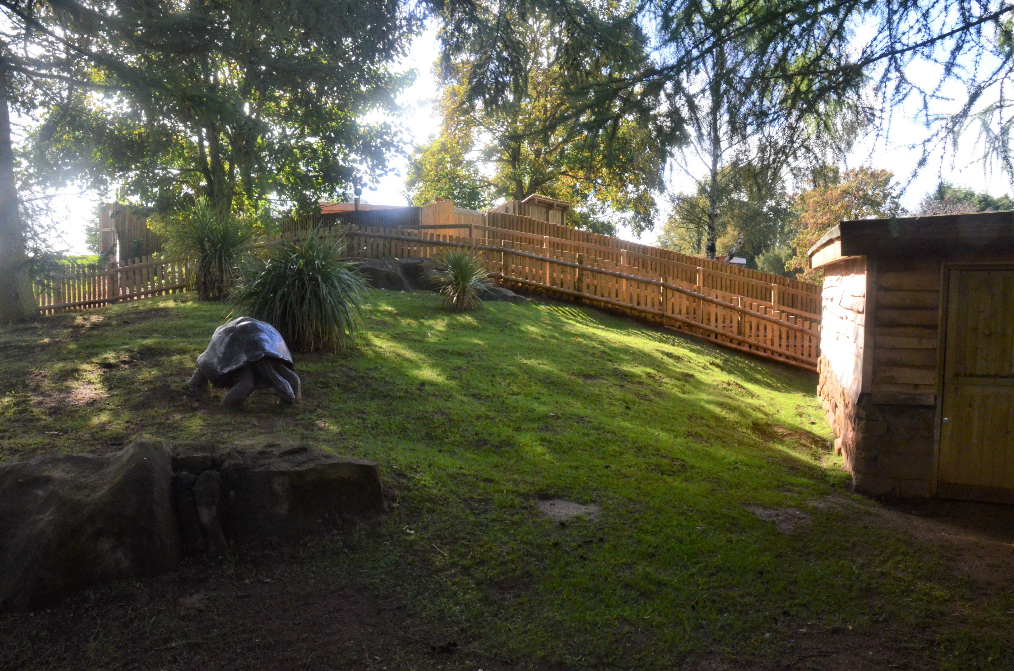 Giant Tortoise Enclosure at Woburn Safari Park, 16/10/16