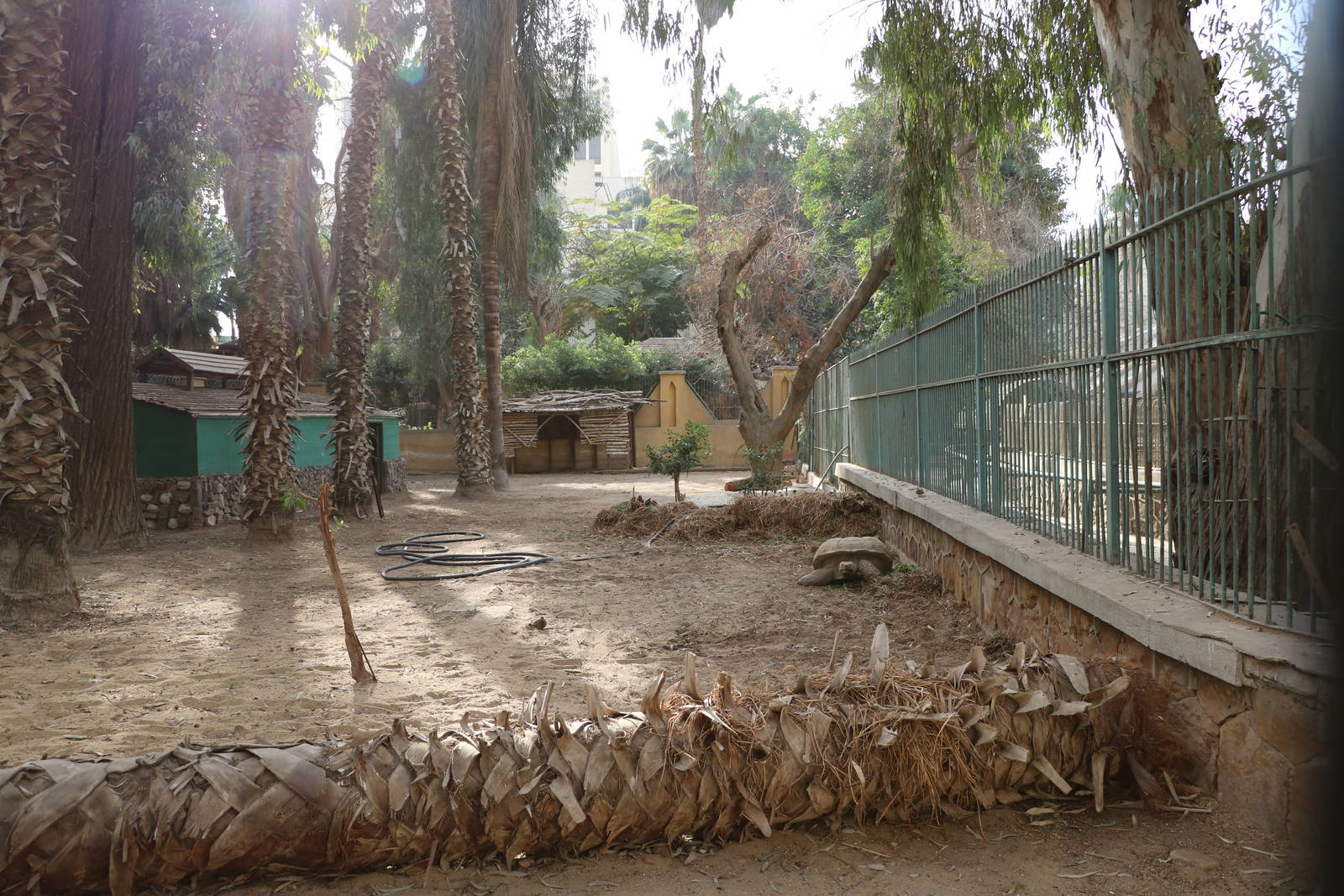 Giant tortoise enclosure, February 2016