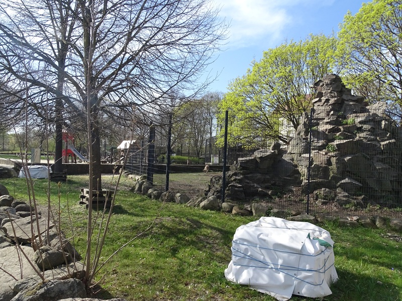 Giant tortoise enclosure with ibex enclosure in the back
