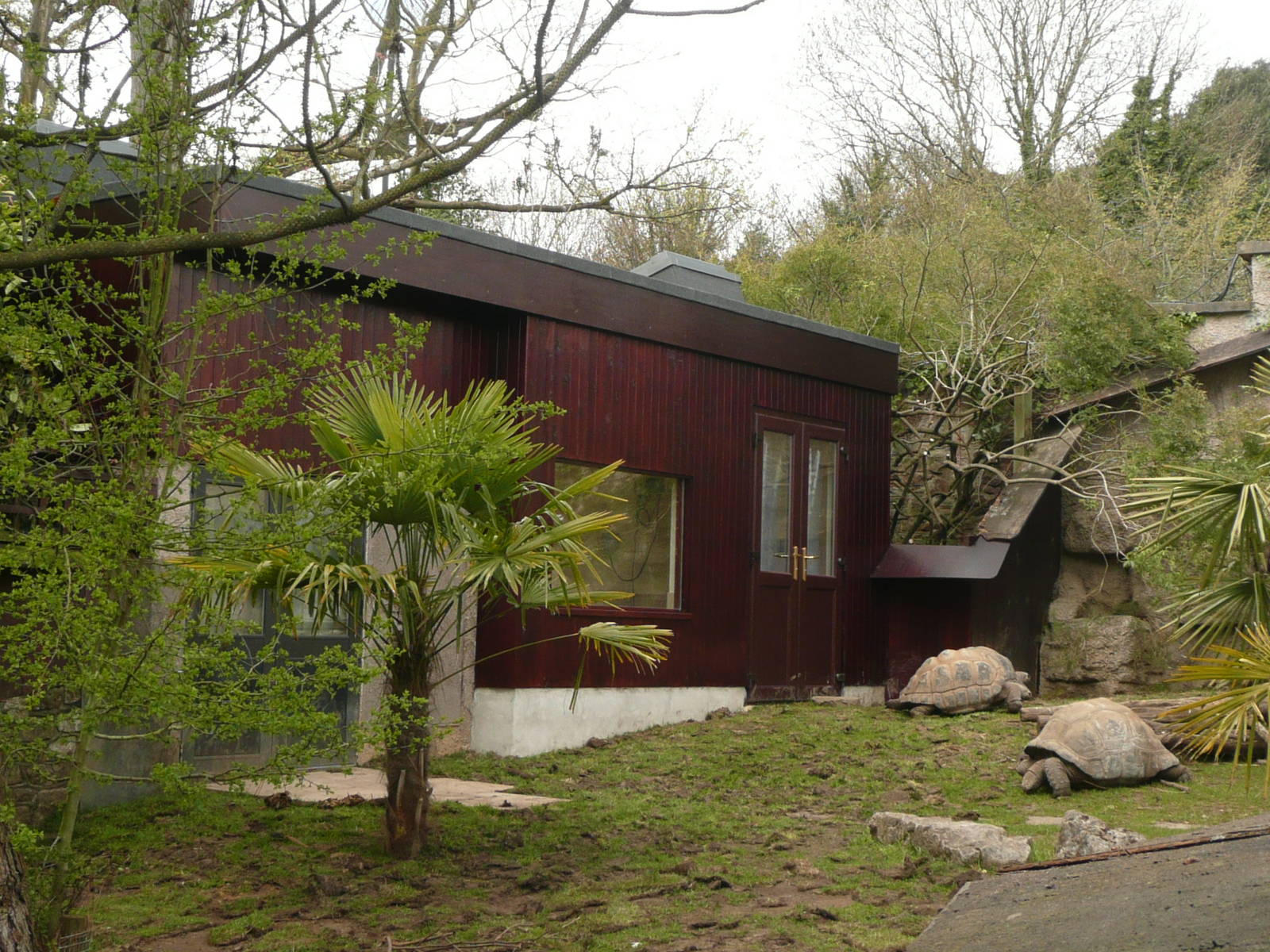 Giant Tortoise enclosure