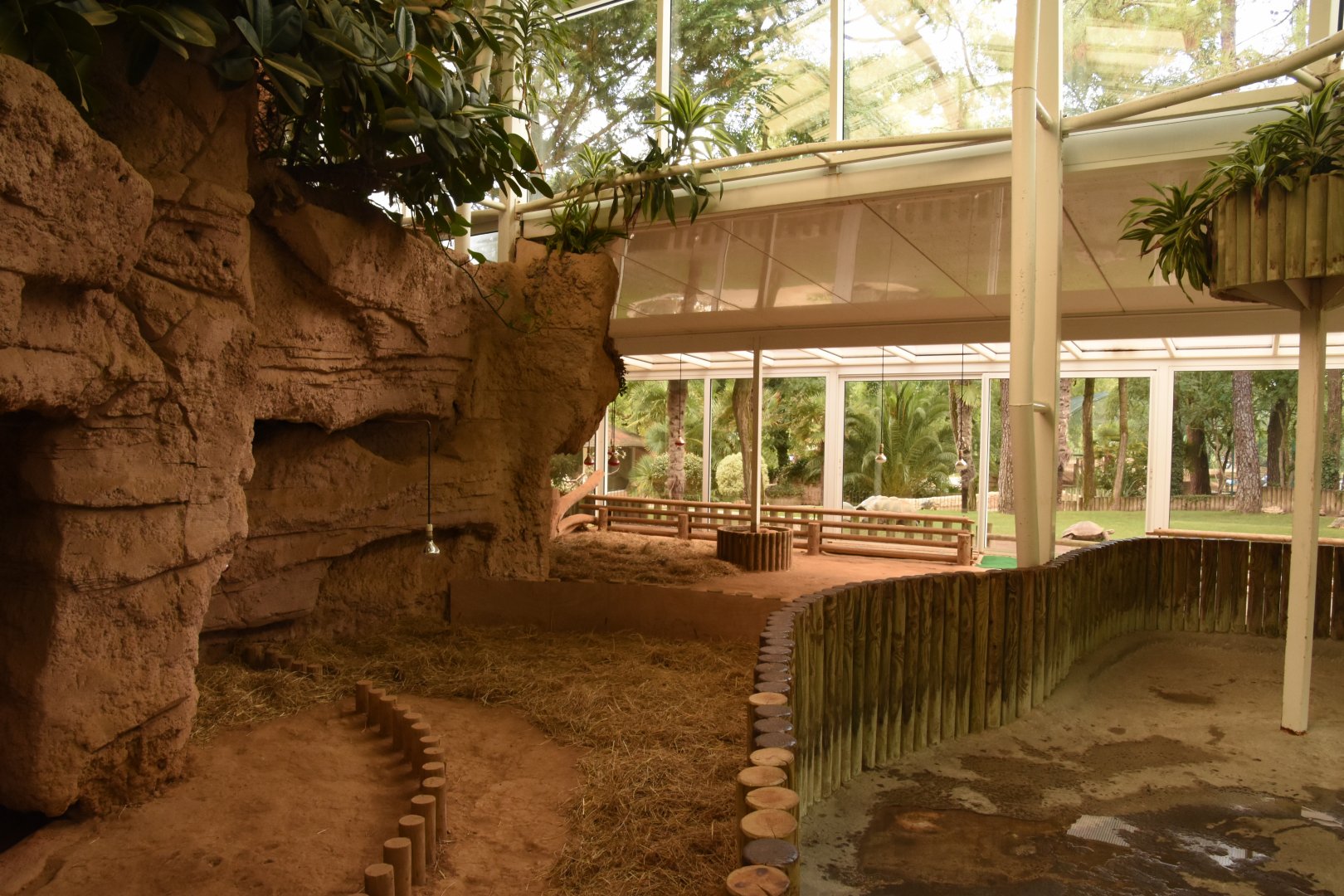 Giant Tortoise enclosure