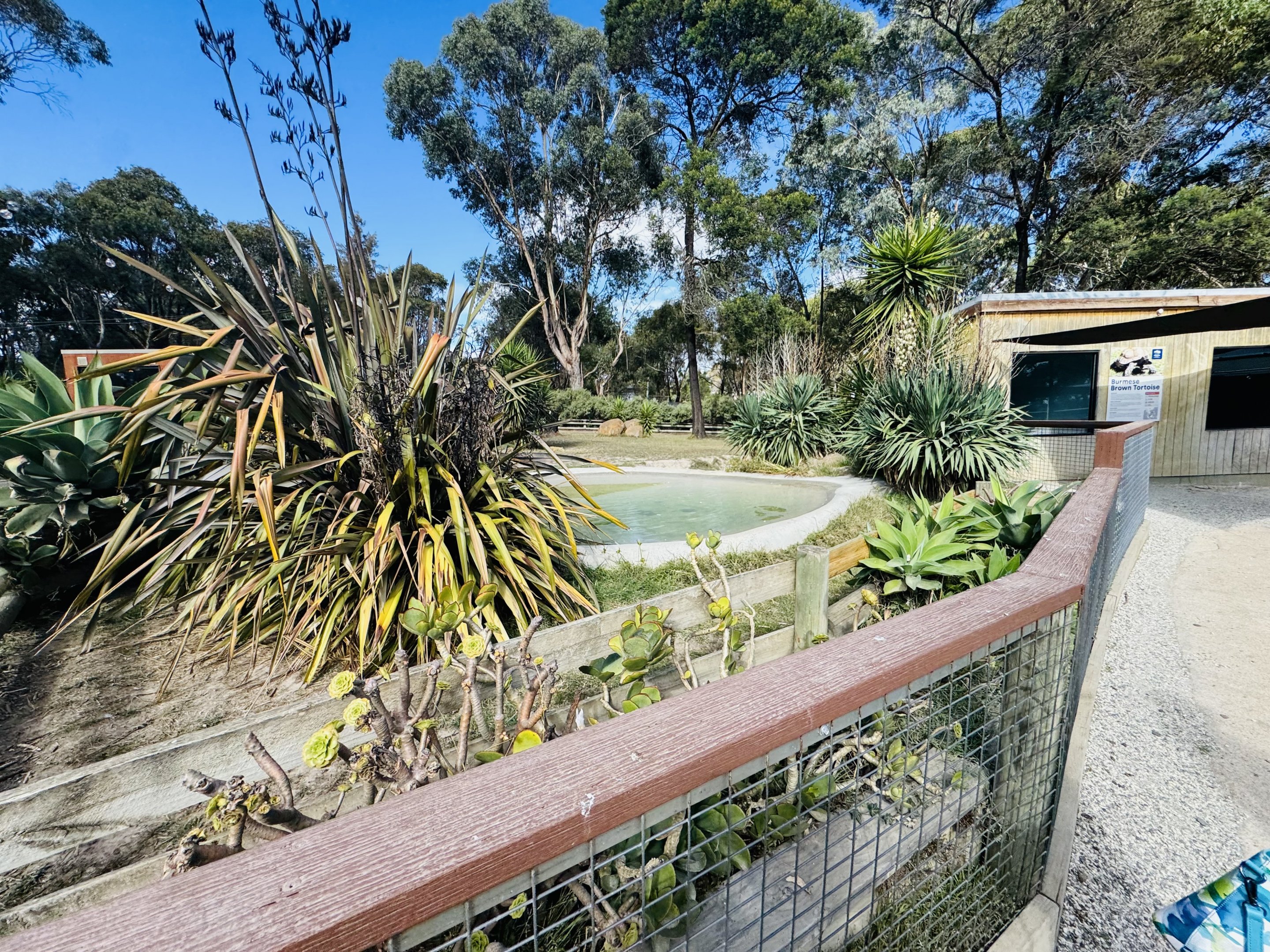 Giant tortoise enclosure