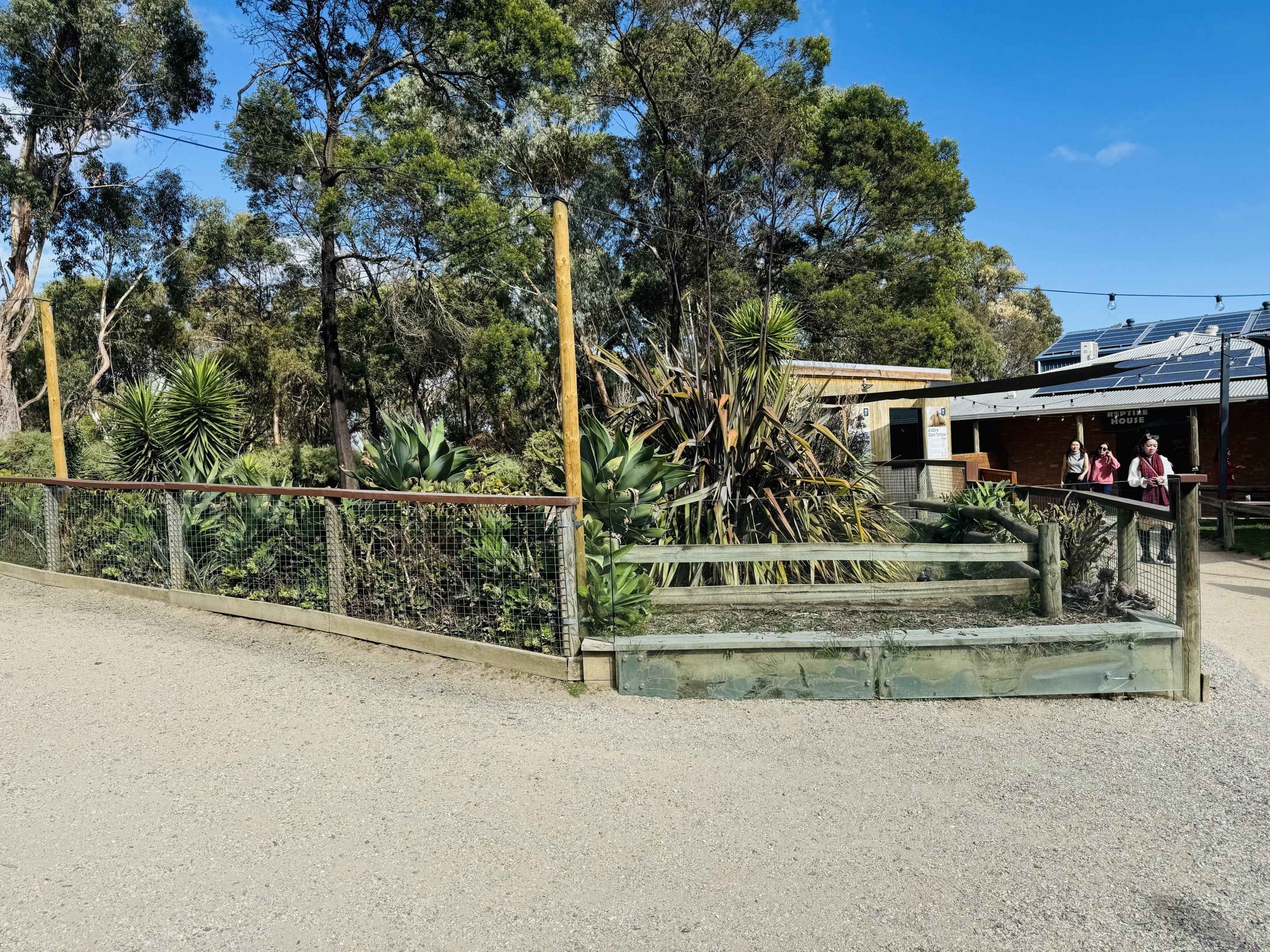 Giant tortoise enclosure