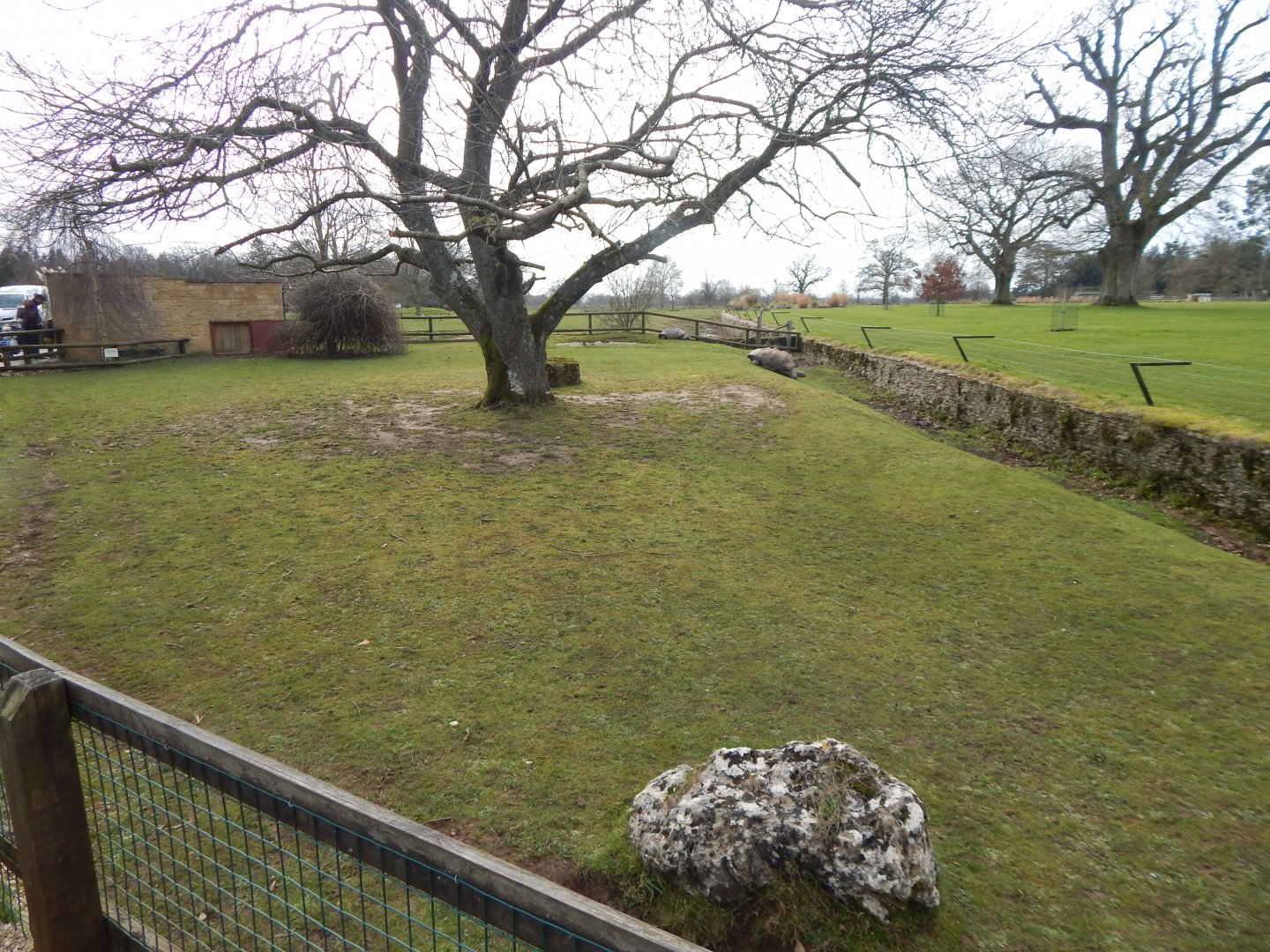 Giant tortoise exhibit 280222