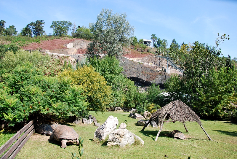 Giant tortoise exhibit at Praha