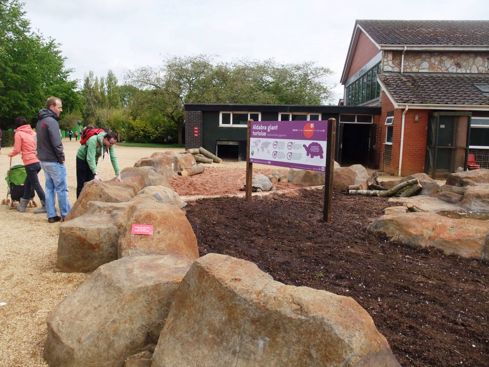 Giant Tortoise Exhibit at Twycross, 18/05/13