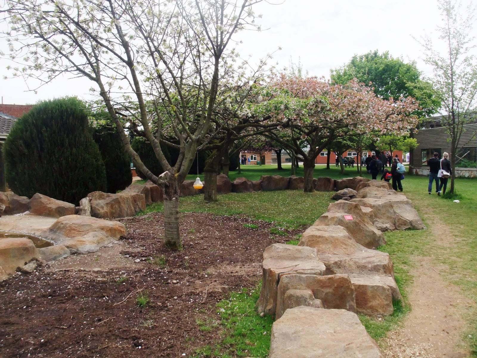 Giant Tortoise Exhibit at Twycross, 18/05/13