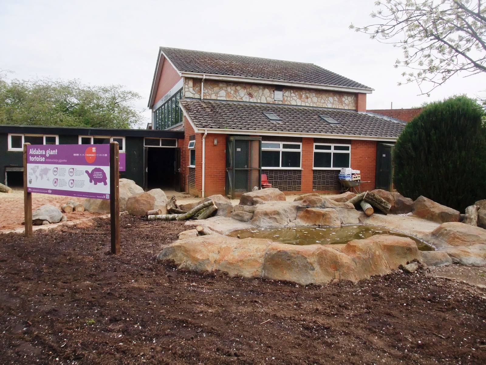 Giant Tortoise Exhibit at Twycross, 18/05/13