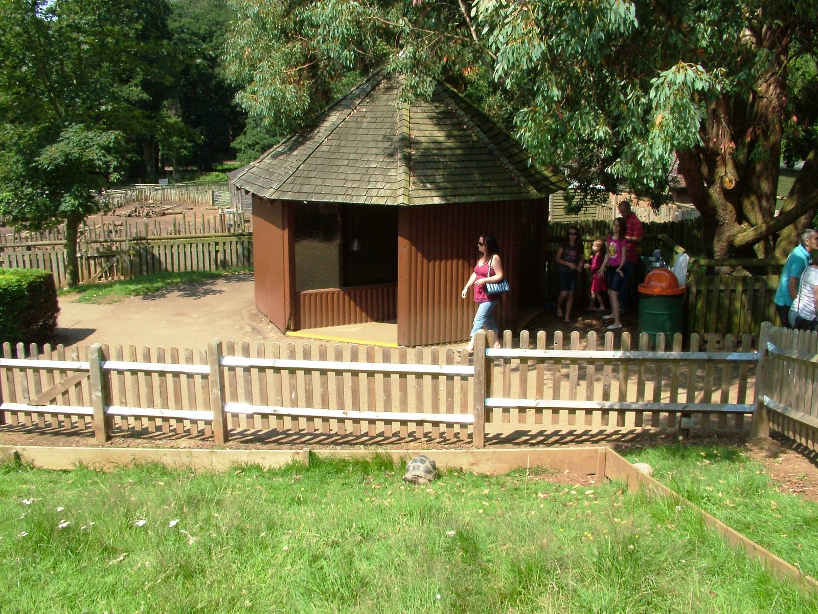 Giant Tortoise Exhibit at Woburn, 22/07/12