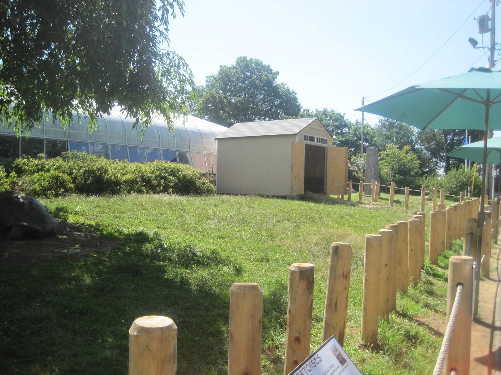 Giant Tortoise Exhibit