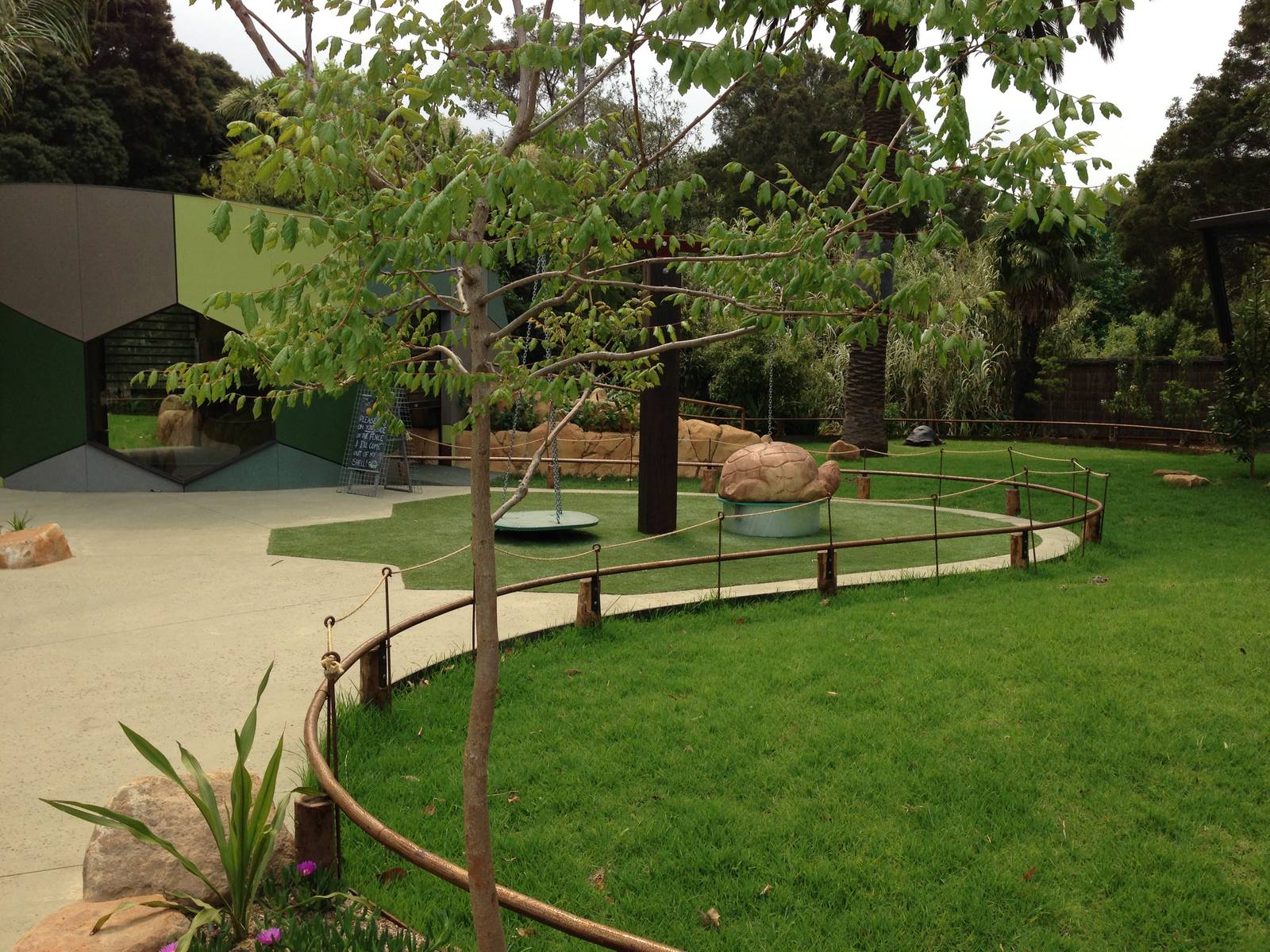 Giant Tortoise Exhibit