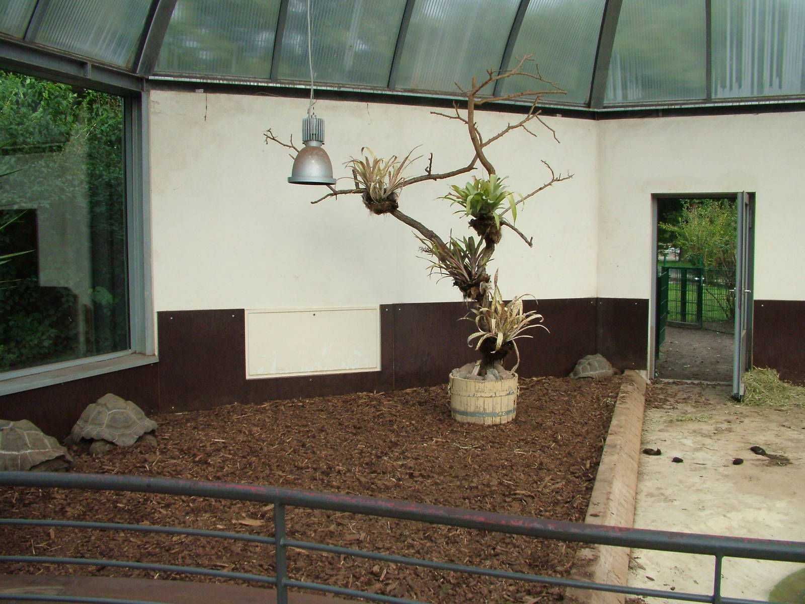 Giant Tortoise House at Tierpark Berlin, 30/08/11