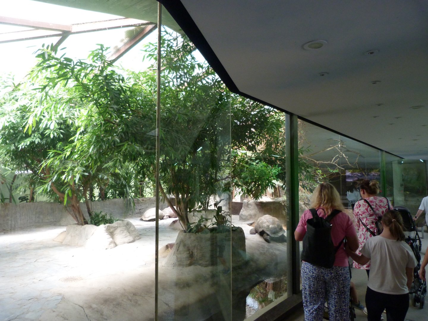 Giant tortoise house -Zoo Praha (2025)