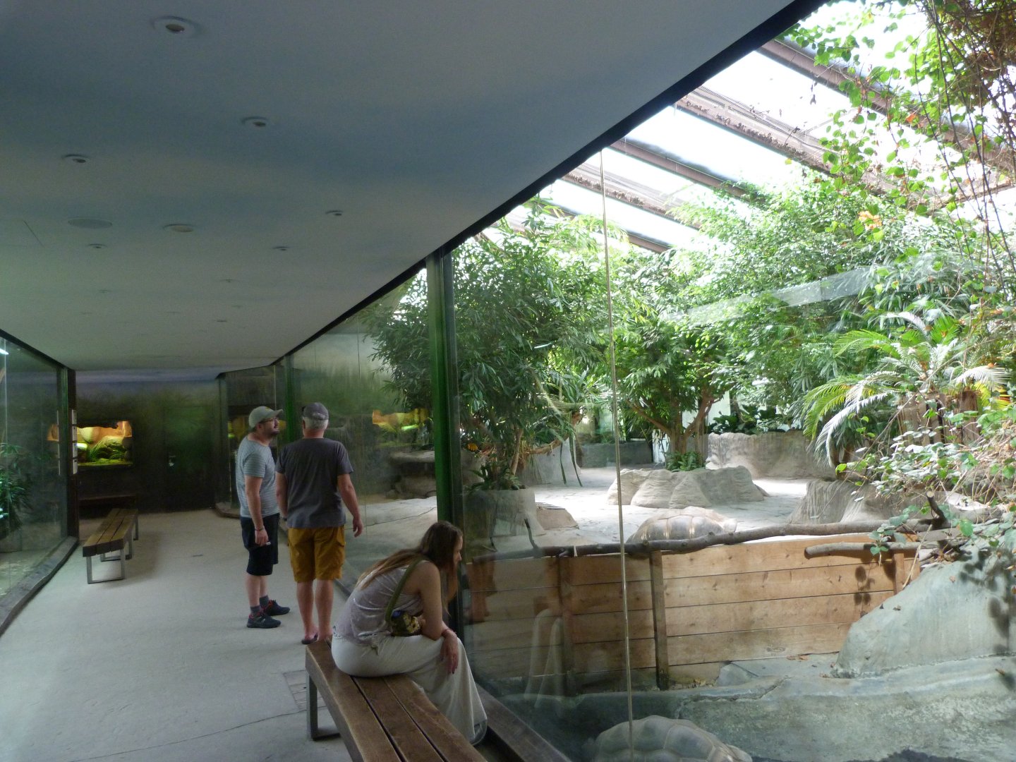 Giant tortoise house -Zoo Praha (2025)
