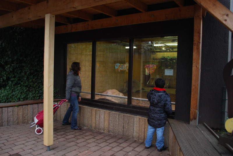 Giant tortoise house