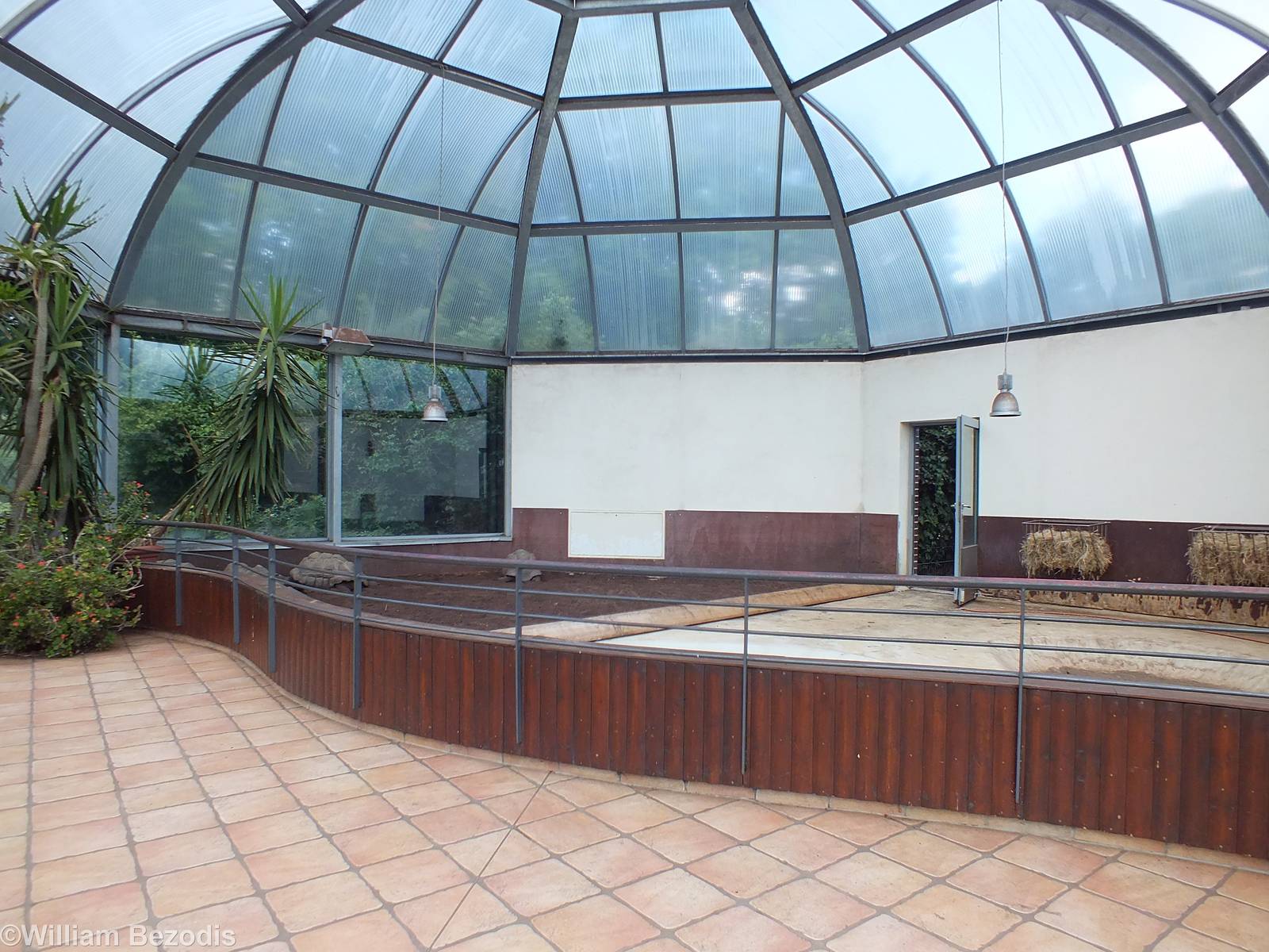 Giant Tortoise Indoor Area