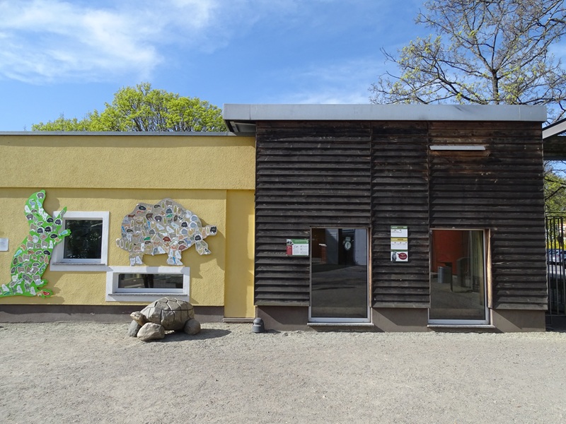 Giant tortoise indoor building