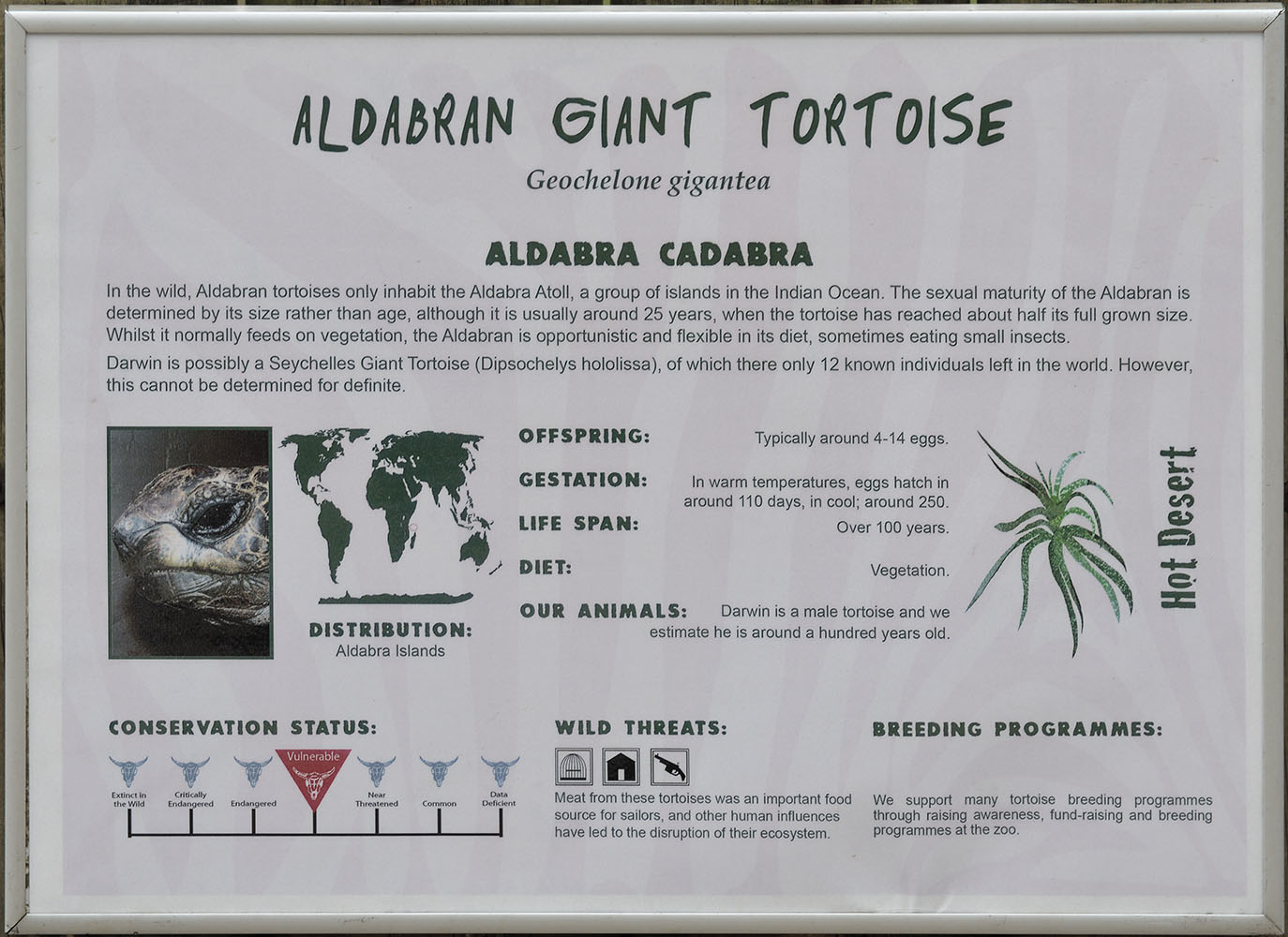Giant tortoise label