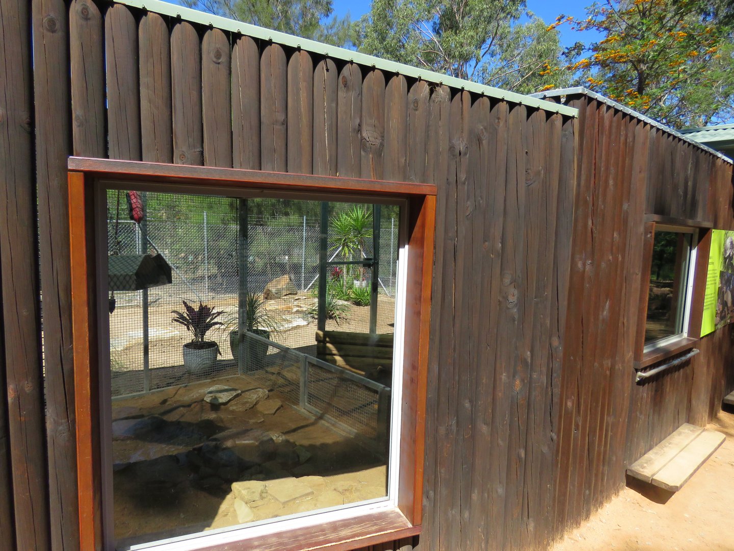 Giant Tortoise Nursery